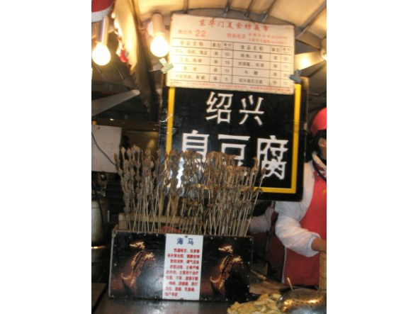 sea_horses_on_a_stick.jpg